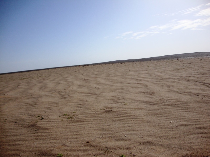 dsc03427.jpg
