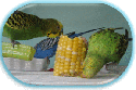 Alimentation
