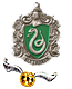 Slytherin - Quidditchteam Slytherin - Quidditchteam