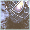 spider10.png