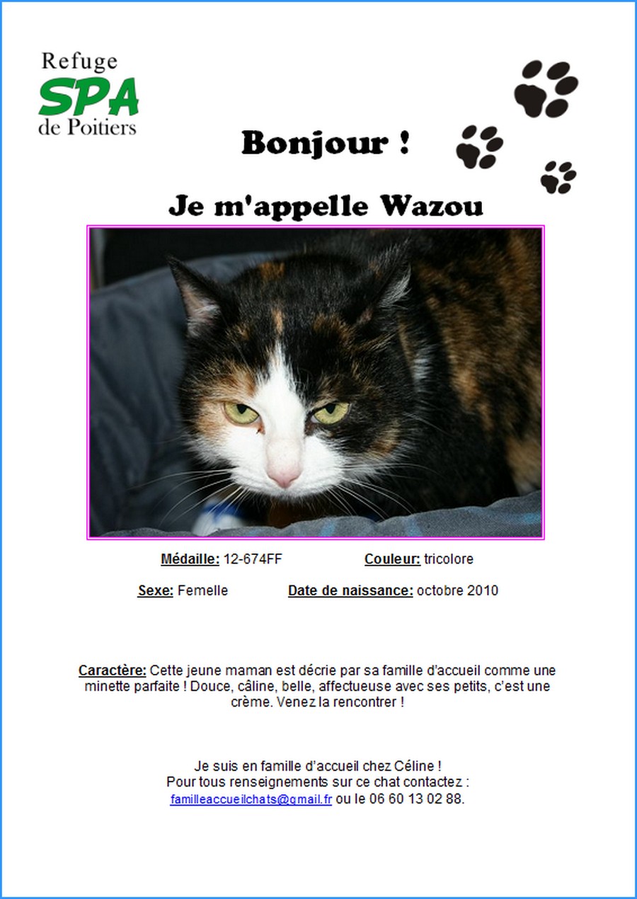Wazoo rencontre