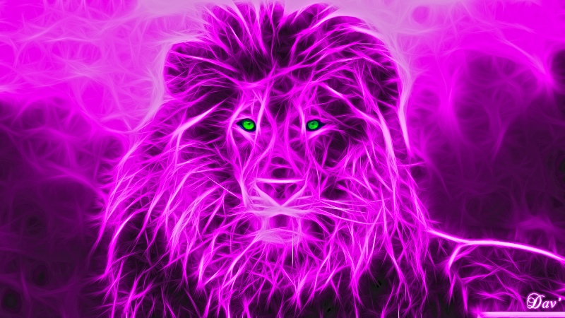 lion10.jpg